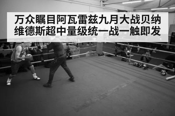 万众瞩目阿瓦雷兹九月大战贝纳维德斯超中量级统一战一触即发